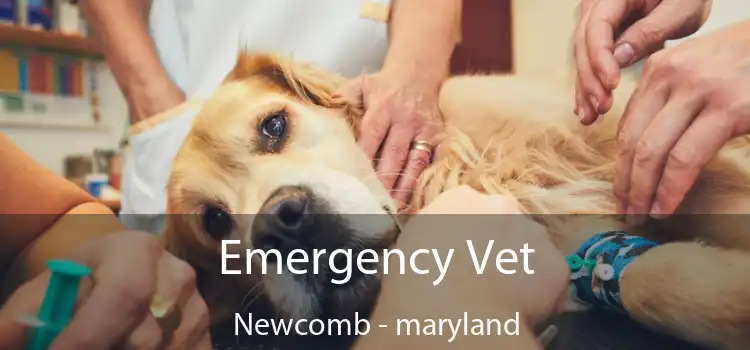 Emergency Vet Newcomb - maryland