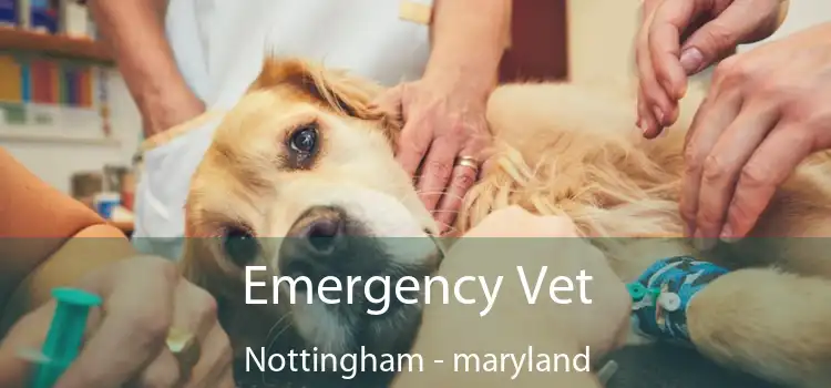 Emergency Vet Nottingham - maryland