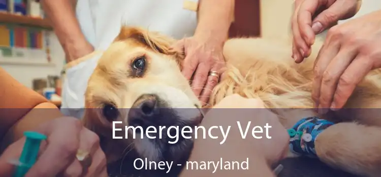 Emergency Vet Olney - maryland