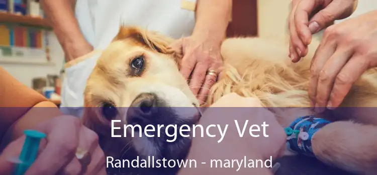 Emergency Vet Randallstown - maryland