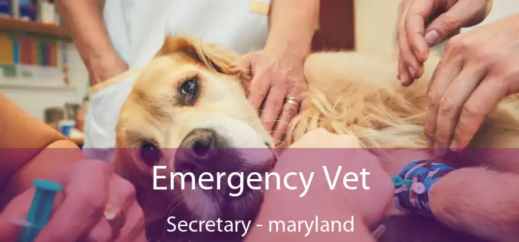 Emergency Vet Secretary - maryland