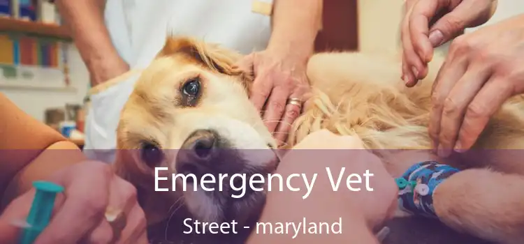 Emergency Vet Street - maryland