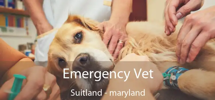 Emergency Vet Suitland - maryland