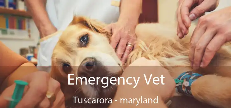 Emergency Vet Tuscarora - maryland