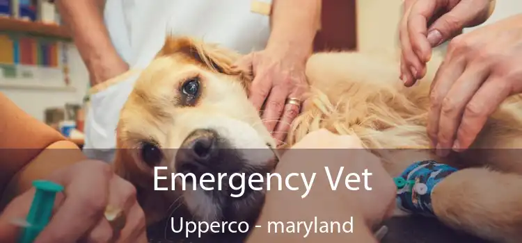 Emergency Vet Upperco - maryland