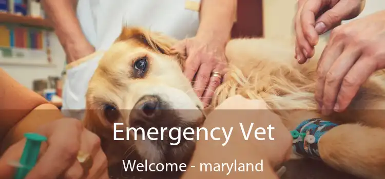 Emergency Vet Welcome - maryland