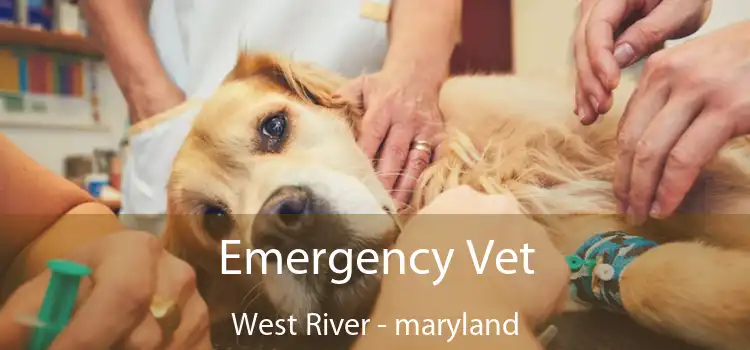 Emergency Vet West River - maryland