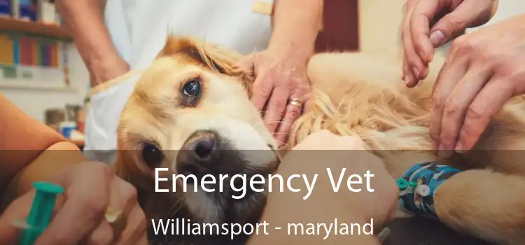 Emergency Vet Williamsport - maryland