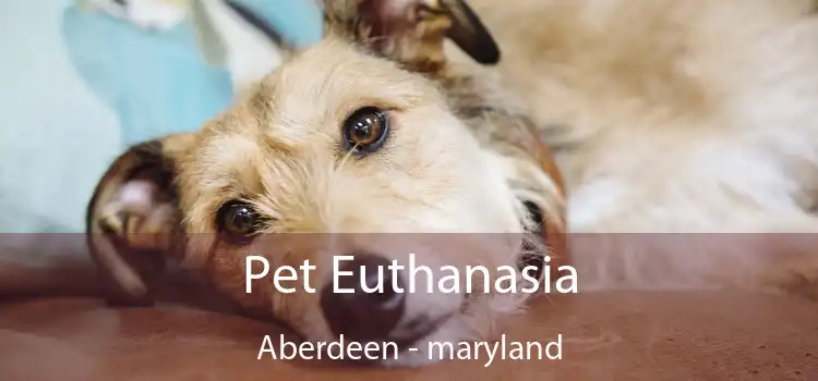 Pet Euthanasia Aberdeen - maryland