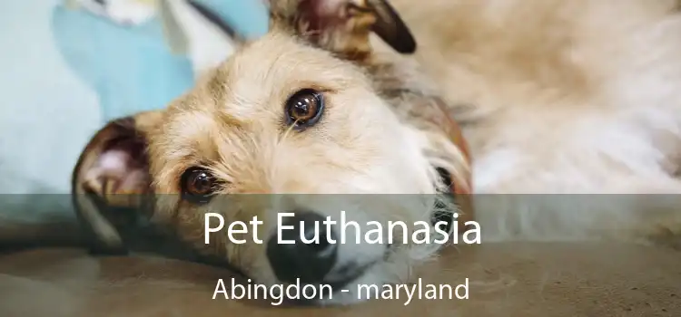 Pet Euthanasia Abingdon - maryland