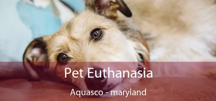 Pet Euthanasia Aquasco - maryland