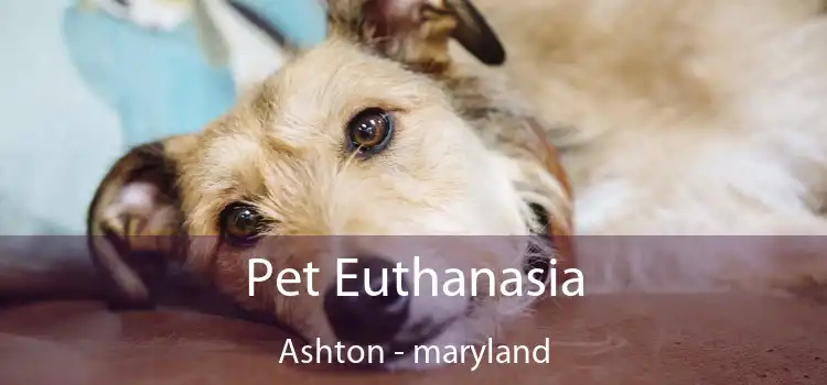 Pet Euthanasia Ashton - maryland