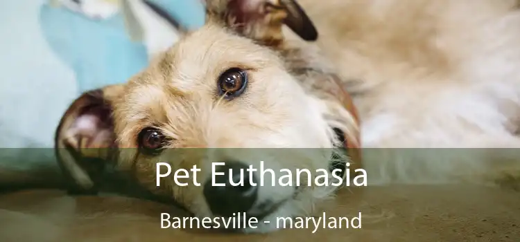 Pet Euthanasia Barnesville - maryland