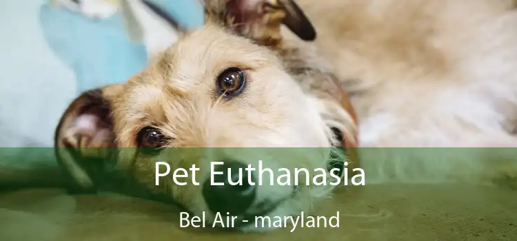 Pet Euthanasia Bel Air - maryland