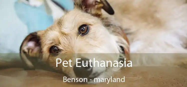 Pet Euthanasia Benson - maryland