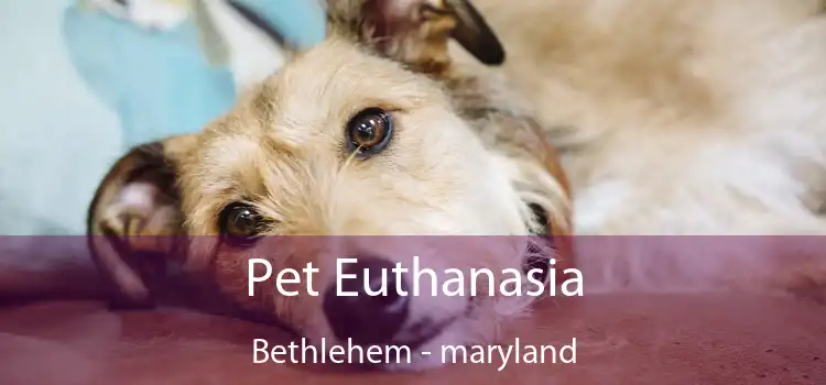 Pet Euthanasia Bethlehem - maryland