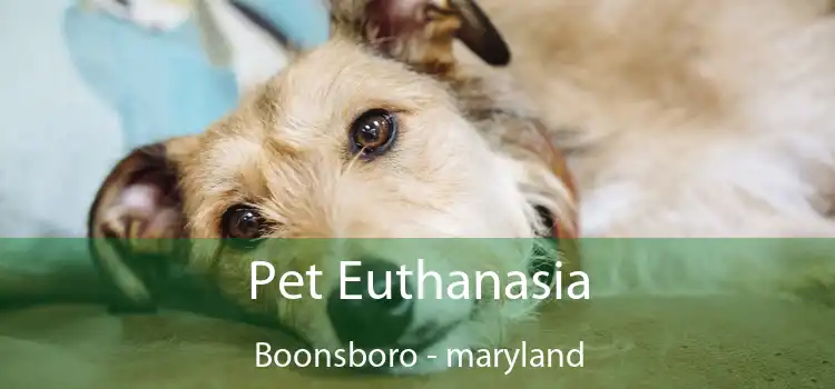 Pet Euthanasia Boonsboro - maryland