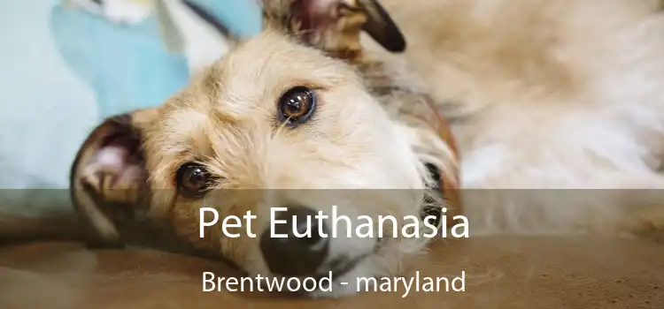 Pet Euthanasia Brentwood - maryland