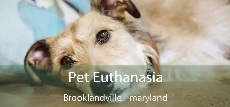 Pet Euthanasia Brooklandville - maryland