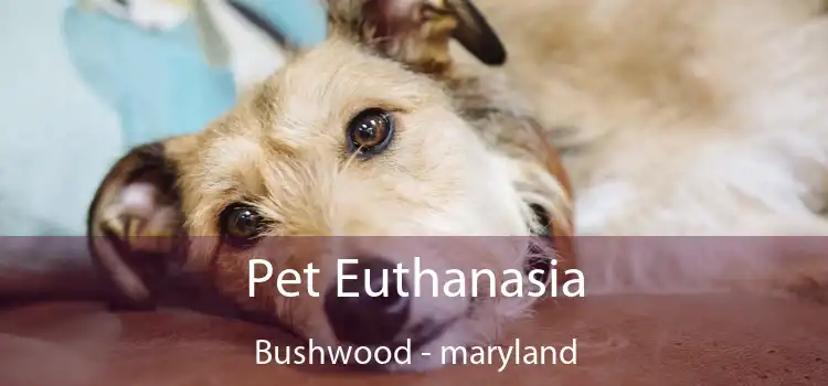 Pet Euthanasia Bushwood - maryland