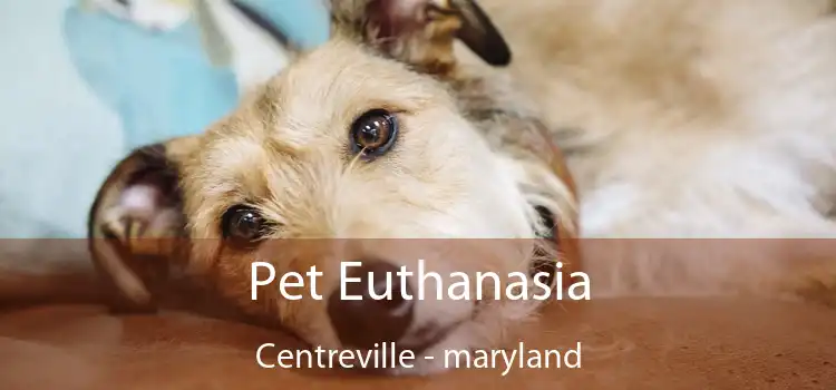 Pet Euthanasia Centreville - maryland