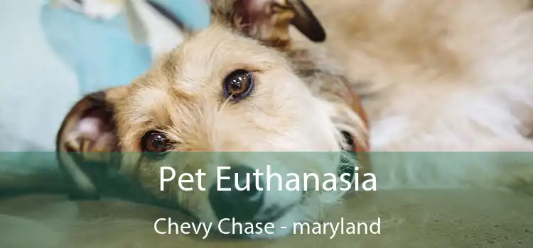 Pet Euthanasia Chevy Chase - maryland