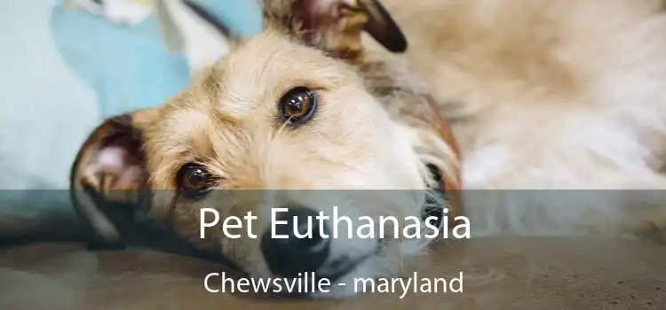 Pet Euthanasia Chewsville - maryland