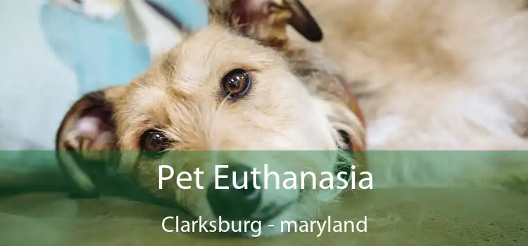 Pet Euthanasia Clarksburg - maryland