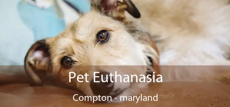 Pet Euthanasia Compton - maryland