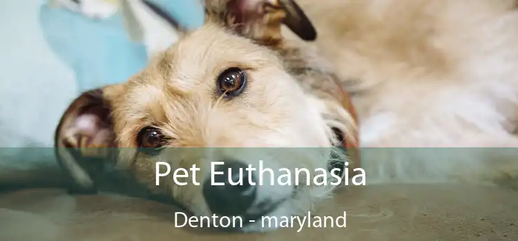 Pet Euthanasia Denton - maryland