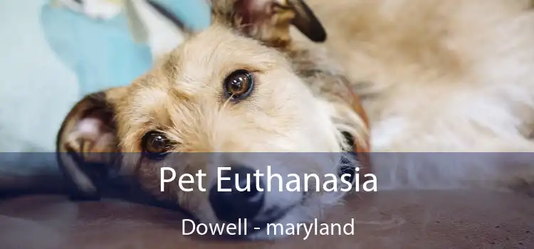 Pet Euthanasia Dowell - maryland