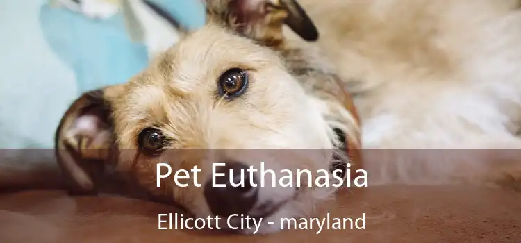 Pet Euthanasia Ellicott City - maryland