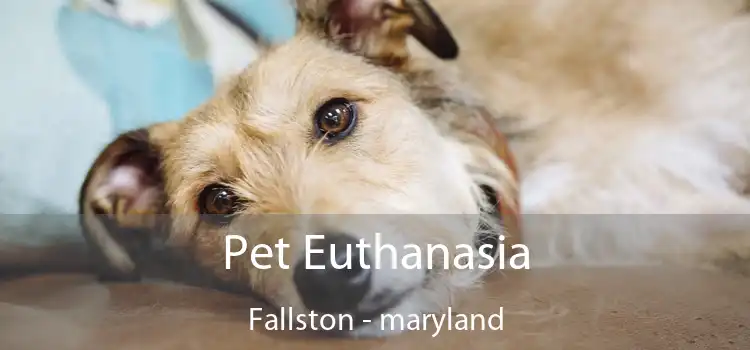 Pet Euthanasia Fallston - maryland