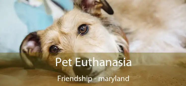 Pet Euthanasia Friendship - maryland