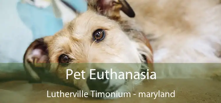 Pet Euthanasia Lutherville Timonium - maryland