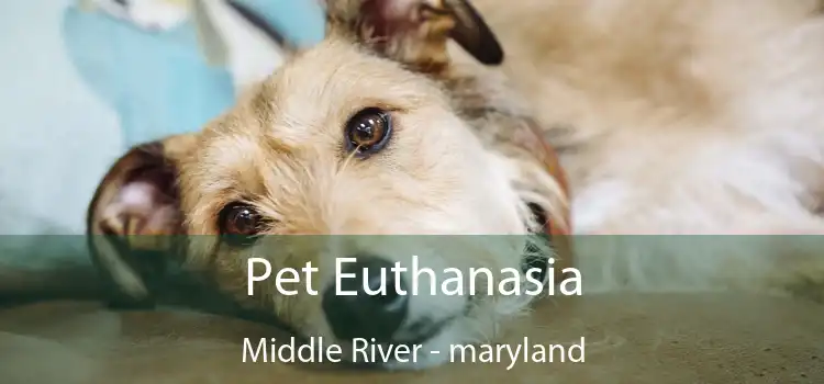 Pet Euthanasia Middle River - maryland