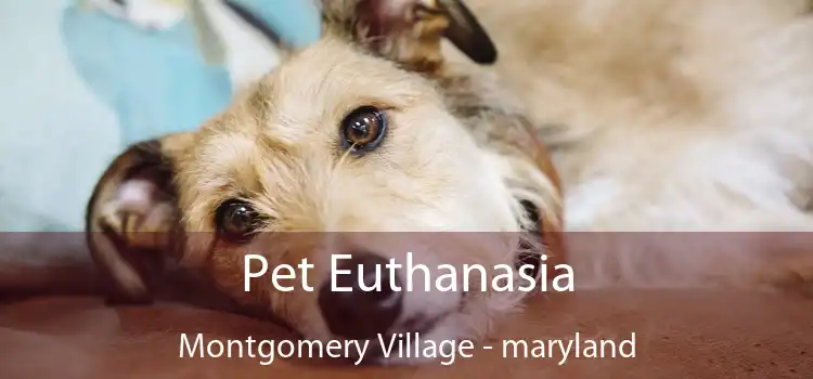 Pet Euthanasia Montgomery Village - maryland