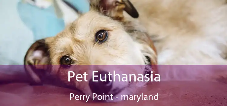 Pet Euthanasia Perry Point - maryland