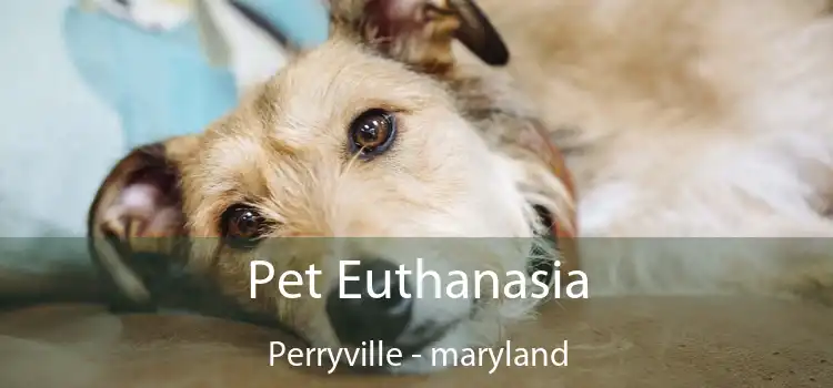 Pet Euthanasia Perryville - maryland