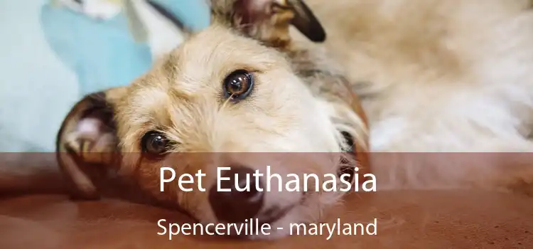 Pet Euthanasia Spencerville - maryland