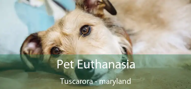 Pet Euthanasia Tuscarora - maryland