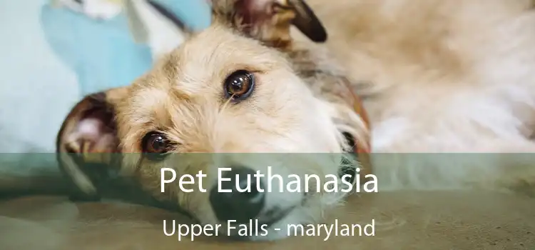 Pet Euthanasia Upper Falls - maryland