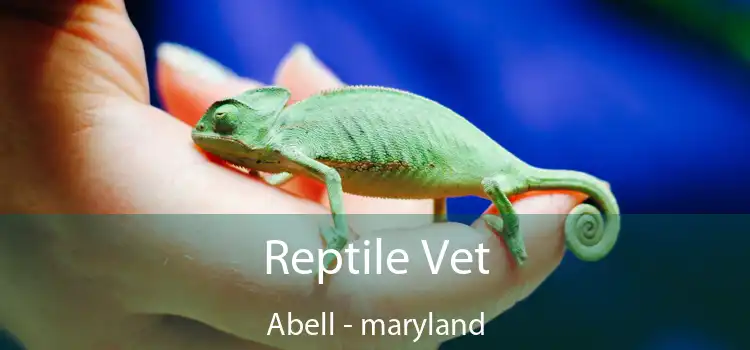 Reptile Vet Abell - maryland