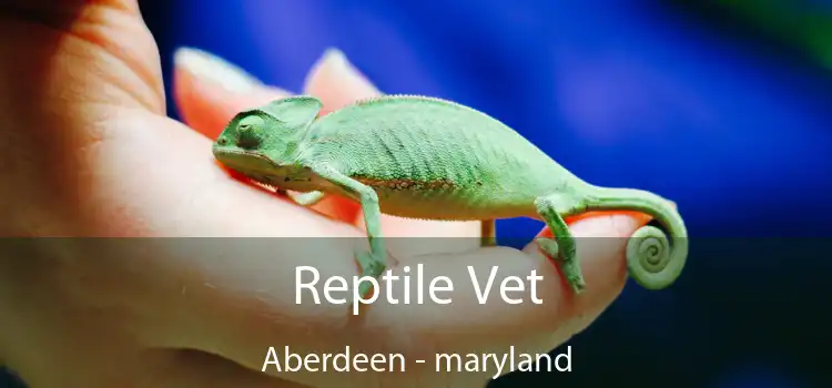 Reptile Vet Aberdeen - maryland