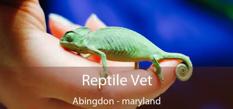 Reptile Vet Abingdon - maryland