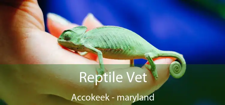 Reptile Vet Accokeek - maryland