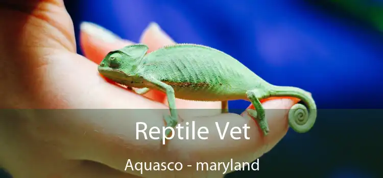 Reptile Vet Aquasco - maryland