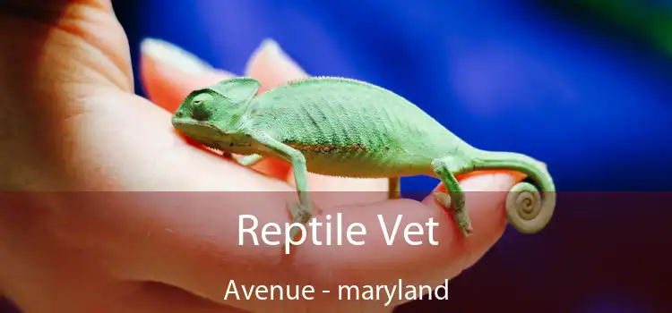 Reptile Vet Avenue - maryland