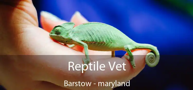 Reptile Vet Barstow - maryland