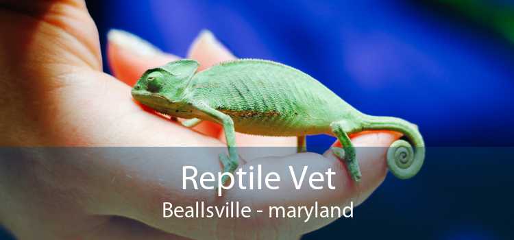 Reptile Vet Beallsville - maryland